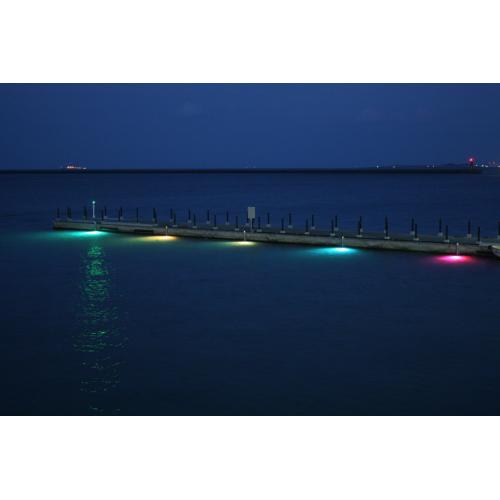 世界初! フルカラーLED海洋照明