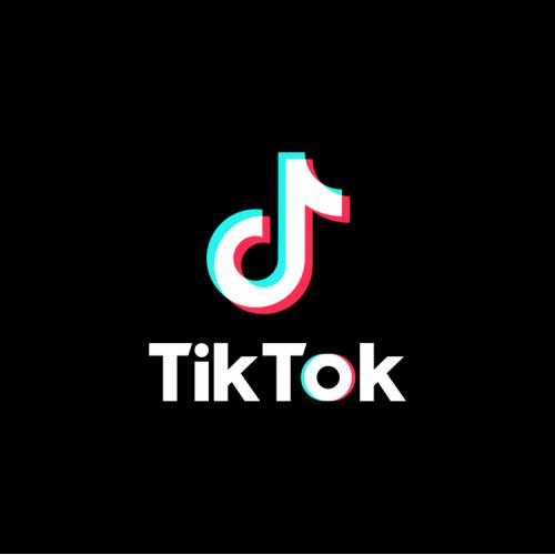 企業TikTokのトータルサポート（設計・企画・撮影・編集・運用）