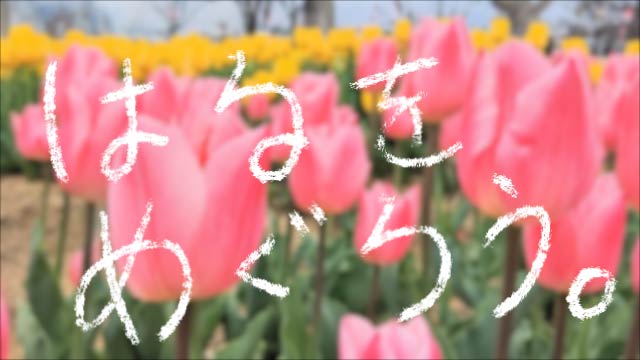 イベント紹介動画制作