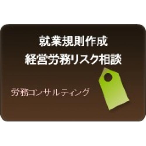 労働トラブルを未然に防ぐ就業規則の制定・見直し、運用アドバイス
