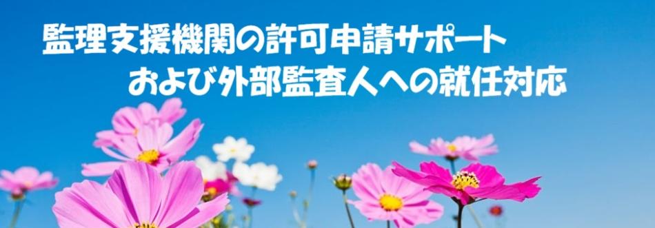 育成就労制度における監理支援機関の許可申請サポート・外部監査人就任対応