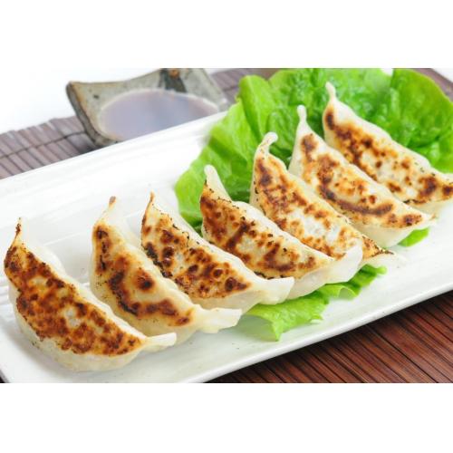 ビック餃子 35g 餃子の街宇都宮の工場で製造