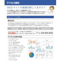 アクセス解析【WEB サイトの健康診断】