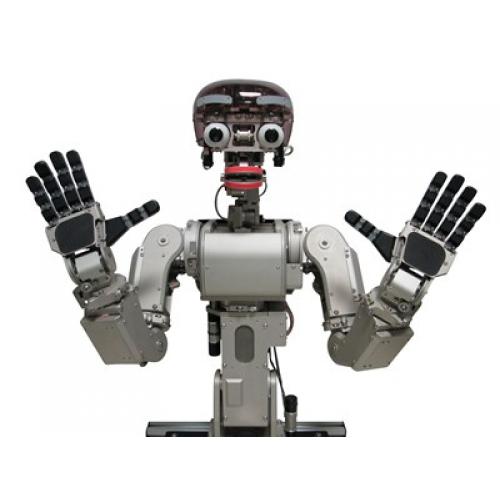 人型ロボット、マスコットロボット、ぬいぐるみロボット、など