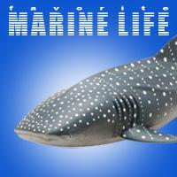 ■魚・The Great Fishing■をテーマにしたリアルフィギュア