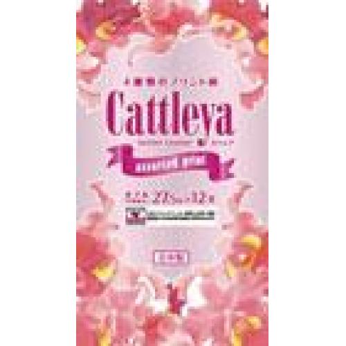 カトレア アソートプリント 12ロール27.5mダブル