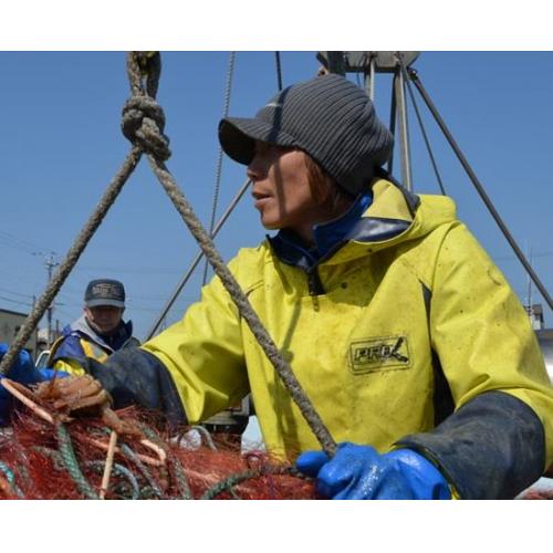 北海道・利尻島から厳選食材をお届け!美味しい味をご家庭で、お店で味わってください