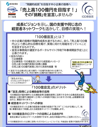 【100億宣言について】