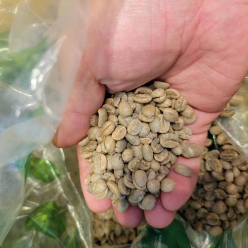 500g~スペシャルティコーヒーを卸売します。飲食店様や貴社の福利厚生の一環に!