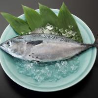 『養殖カワハギ4尾入/箱』活〆付