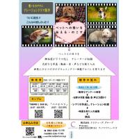 ペットへの想いを 伝える のこす