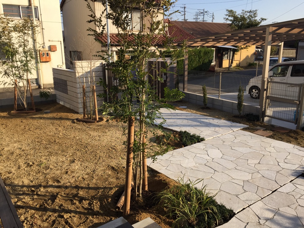 お庭の剪定,手入れ、管理　長谷川造園(愛知県春日井市、その他)　消毒だけでもＯＫ