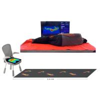 見守りセンサー「テックマット」概要