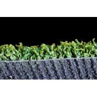 人工芝用接着剤 ディノグリップ505｜コンクリート面施工の専用接着剤