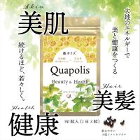 桑ポリス®180粒　高濃縮　免疫　血糖値　美白　アンチエイジング　倦怠感に