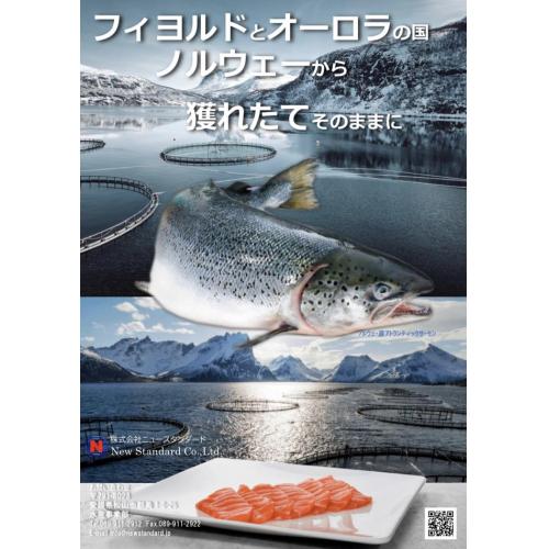 ノルウェー産サーモン