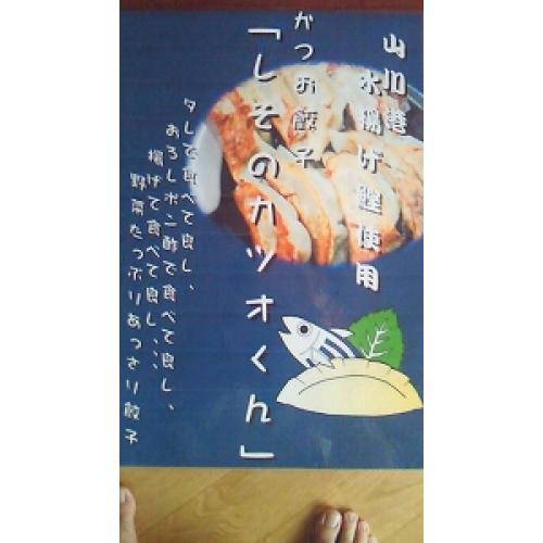 かつお餃子 「しそのカツオくん」