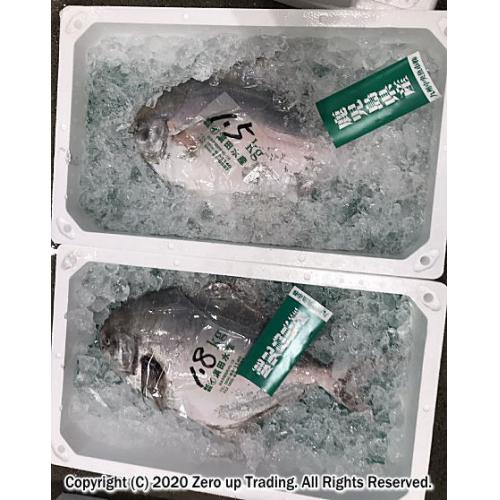 九州産鮮魚輸出