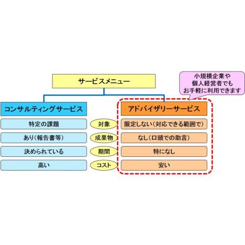 マネジメントアドバイザリサービス