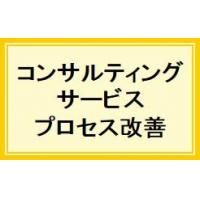 コンサルティングサービス－業務プロセス改善