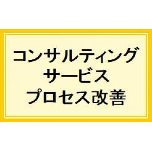 コンサルティングサービス－業務プロセス改善