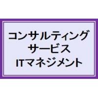 コンサルティングサービス－ITマネジメント