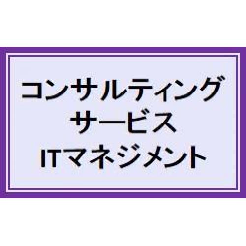コンサルティングサービス-ITマネジメント