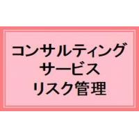 コンサルティングサービス－リスク管理