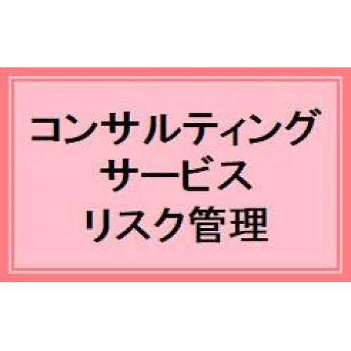 コンサルティングサービス-リスク管理