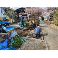 植木の維持管理