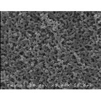 電子顕微鏡（ＳＥＭ）画像撮影や高速液体クロマトグラフィー（ＨＰＬＣ）分析します。