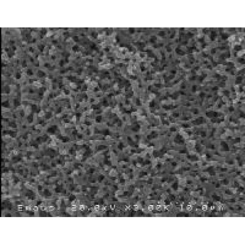 電子顕微鏡（ＳＥＭ）画像撮影や高速液体クロマトグラフィー（ＨＰＬＣ）分析します。