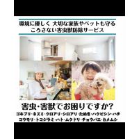 企業イベント･会社PR･通信教育など 動画編集者が足りない際にはご連絡下さい!