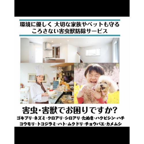 売上に効果的!ビジネスを加速!チラシ制作サービス(名刺もセットでデザイン可!)