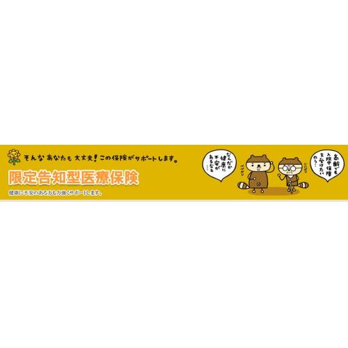持病･既往症があっても入りやすい医療保険