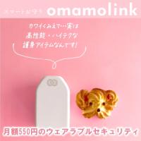ボックスウォール | 次世代型止水板で水害・浸水対策を強化