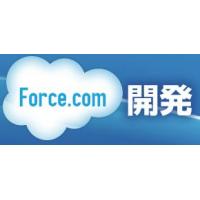 Force.com開発・Salesforce導入システムキューブ