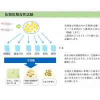 生物応答を利用した新たな排水管理手法「WET試験」