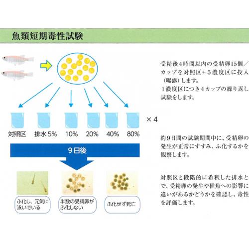 生物応答を利用した新たな排水管理手法「WET試験」