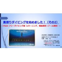 7分ー素潜ダイビング始めましー2　PADI フリーダイビング編（理論＋プール講習
