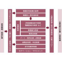 新卒採用コンサルティング