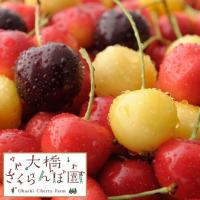 北海道・利尻島から厳選食材をお届け！美味しい味をご家庭で、お店で味わってください