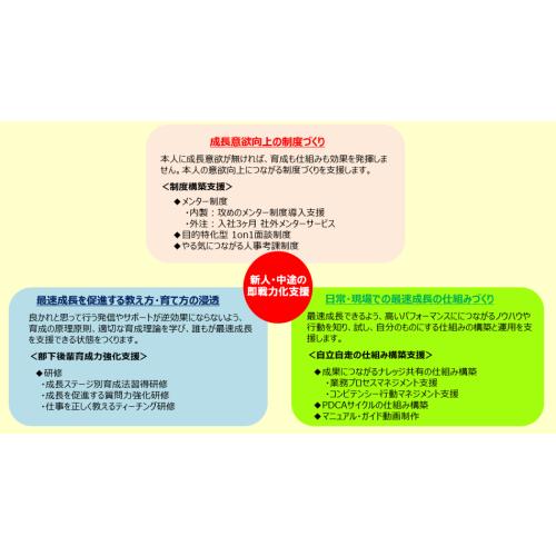 新入社員・中途社員即戦力化コンサルティング