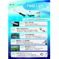 耐衝撃！蛍光灯型防水LED照明「フィールドライトX」