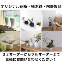 旭山さくら　鉢植盆栽　育て方　ギフト　プレセント　贈り物　安全梱包　送料無料