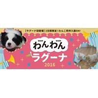 犬の幼稚園　わんこラボ