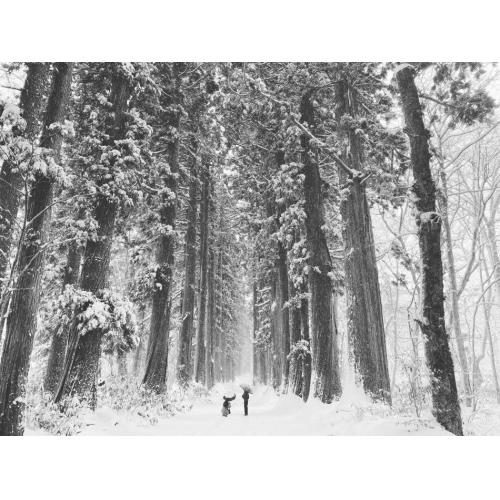 移住、テレワーク、U J Iターンの地方創生映像制作