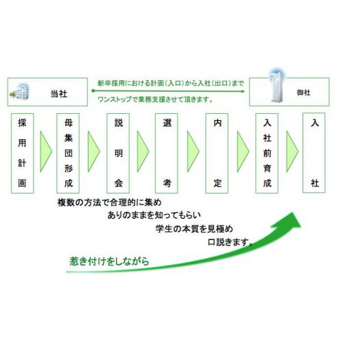 シンミドウの新卒採用コンサルティングの特徴