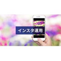 インスタグラム運用：初期構築１０万円税別＋（運用1年契約×３.5万円税別）