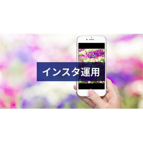 インスタグラム運用：初期構築１０万円税別＋（運用1年契約×5.5万円税別）